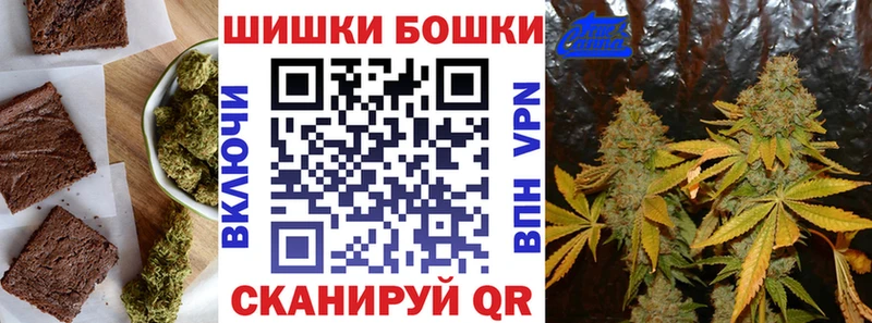 Купить где  Брянск  Canna-Cookies конопля 