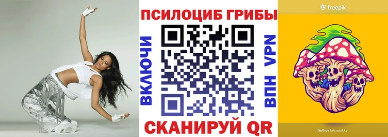 Псилоцибиновые грибы Cubensis  Купить где  Брянск 